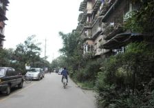 同怡横街50号4室2厅西南