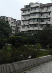 西城家园(青羊)3室2厅东南