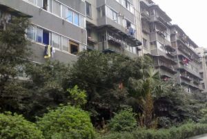 星河路社区2室1厅东南