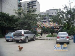 星河路社区2室2厅东南南