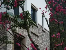 小区离山近的楼栋位置,大端户,花园100多平米