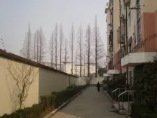 金桥产业园,地铁9号线,12号线,21号线,精品一居室