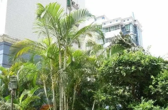 弘雅花园四期
