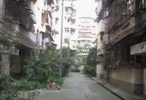 文汇院2室1厅南