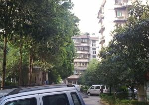 罗家碾街155号 4室2厅 南