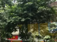 渝碚路 3室1厅 南