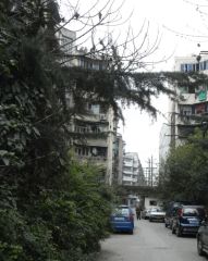 石人南路40号3室1厅南