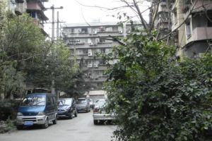石人南路40号3室1厅南