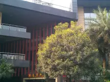 轻轨涂山站正规大四房 环境优美 得房率高 单价一万 !