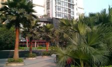 西区 立邦香语湖二房65万