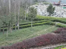 滨河印象家装两室,户型方正,交通便利,配套成熟