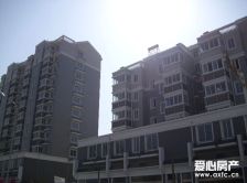 公园佳苑电梯房.楼层好.地铁口