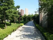 近水街 百万装修带家具家电 一楼独立院落彰显个性生活