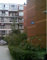 紫金花园 2室1厅 东南