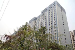 紫金乐章2室1厅东南
