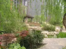 全新装修,户型好,采光好,房间方正大