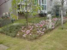 鱼洞 兴源小区二房30万