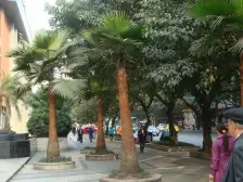 鱼洞 大江五组团二房