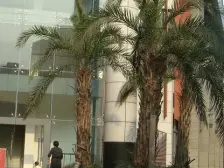 鱼洞 大江五组团二房22万