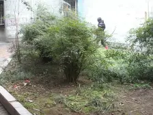 勤居村 2室1厅 东