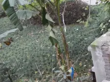 双碑 勤居村二房37万