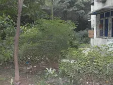 双碑嘉陵医院旁勤居村两室,商圈近,交通便利