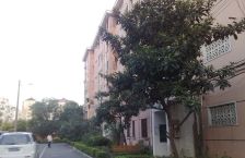 稀有双南两房,好楼层,位置优秀,不可错过。