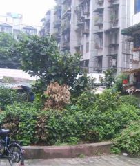 泰来小区 5室2厅 南