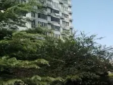 双南户型方正。总价低,业主诚意出售,看房方便