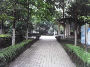 天合苑2室2厅东北东北北