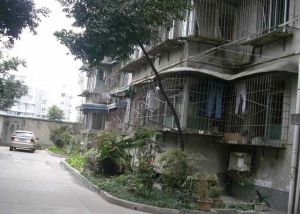 茶店子育苗路10号2室1厅东南