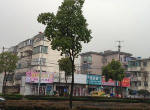 4楼,2房朝南,前面无遮挡,采光好