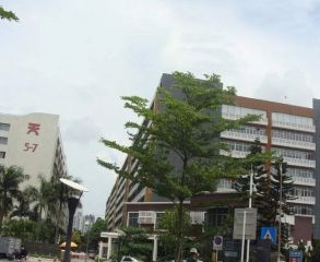 南山天安工业村两房,近地铁,满五,一站式生活圈