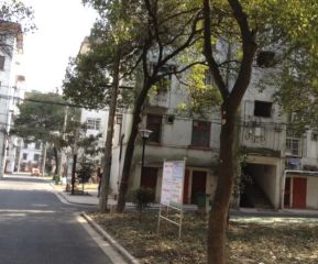 石榴坊1室1厅南