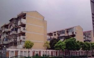 金杨·枣庄路118弄·3室·2厅