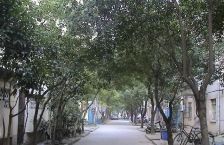 常府街 · 马府新村 · 2室 · 1厅