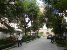 杨思前滩精装修40万,送超大花园