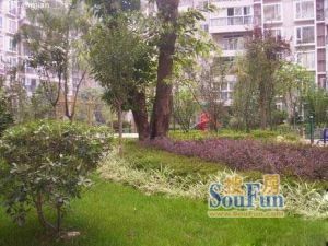 顺苑(燃灯寺路)3室2厅东南