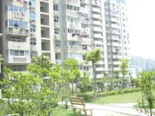 三林·三林新村(永泰路468弄)·1室·1厅