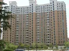 三林新村(永泰路59弄) 3室1厅 南