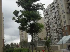 小区中间位置 采光视野好 近地铁