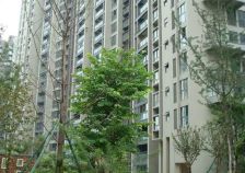 成都花园上城3室1厅南北