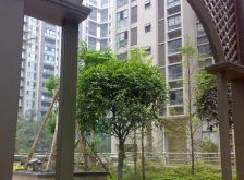 成都花园上城3室1厅南