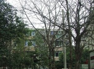 文华路14号 2室2厅 南
