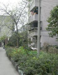 中新路13号3室1厅南北