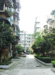 成勘院3室1厅南