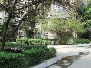 成勘院2室1厅南南
