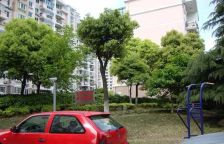 外高桥·运银公寓·3室·2厅