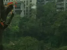 双碑 和平山二房40万