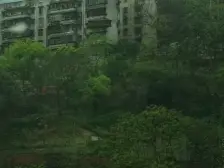 双碑 和平山二房31万